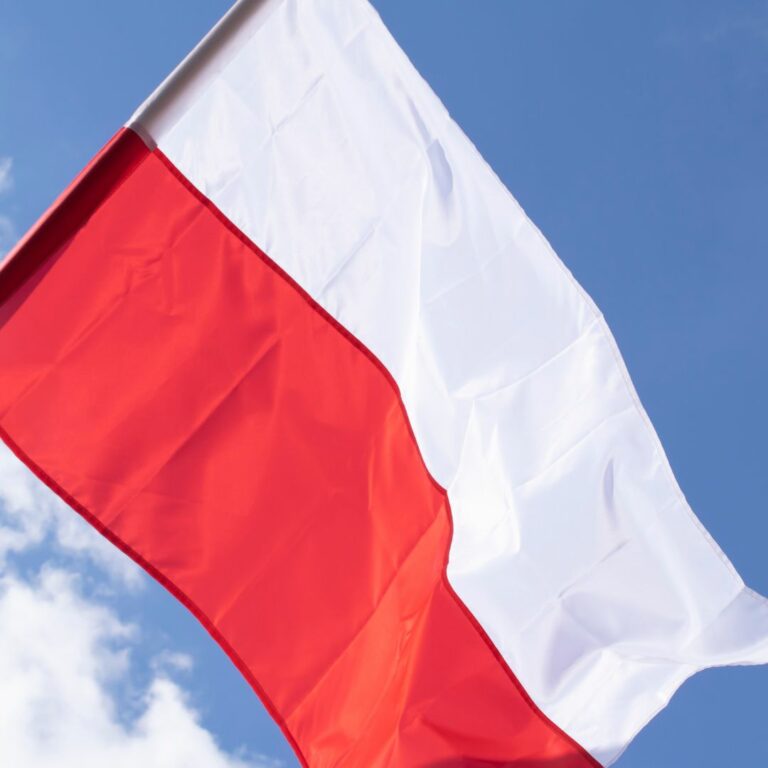 polski-dla-obcokrajowcow-dlaczego-warto-uczyc-sie-naszego-jezyka-w-sremie